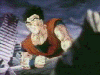 Gohan056.gif (46052 bytes)