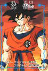 Goku028.jpg (56256 bytes)