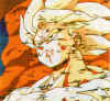 Goku052.jpg (23709 bytes)