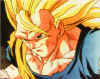 Goku081.jpg (45552 bytes)