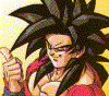 Goku096.gif (40524 bytes)