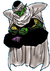 Piccolo.gif (20181 bytes)