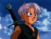 Trunks25.gif (135717 bytes)