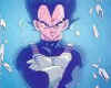 Vegeta Images