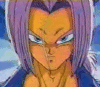 futuretrunks2.gif (35396 bytes)